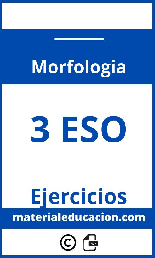 Ejercicios Morfologia 3 Eso Pdf